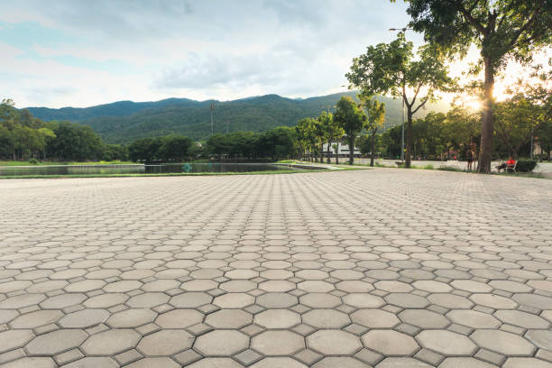 Best Residential Paver Driveway  in Harper Woods, MI